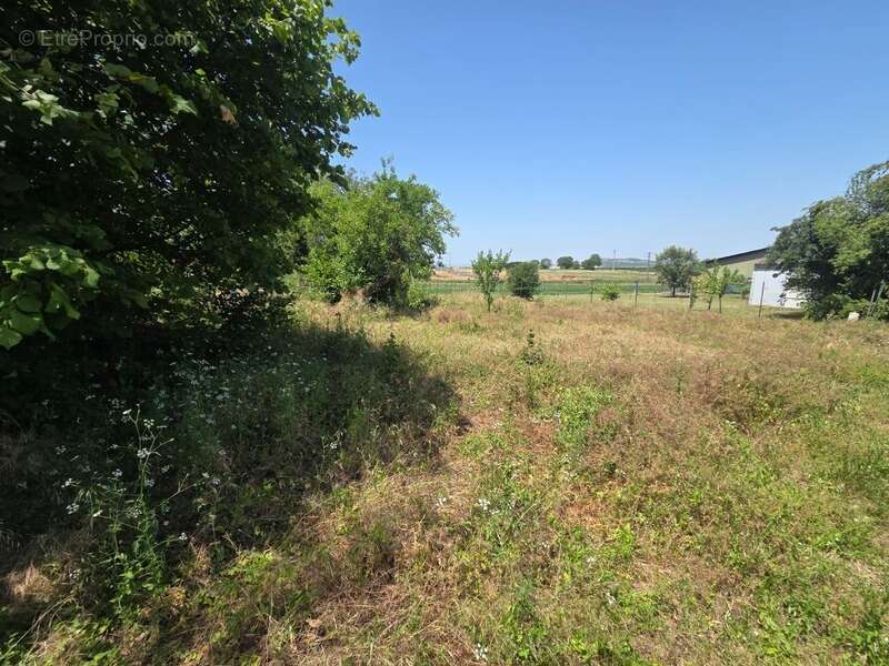 *** exclusivite *** grange et terrain *** reignat 63160 *** - photo 2