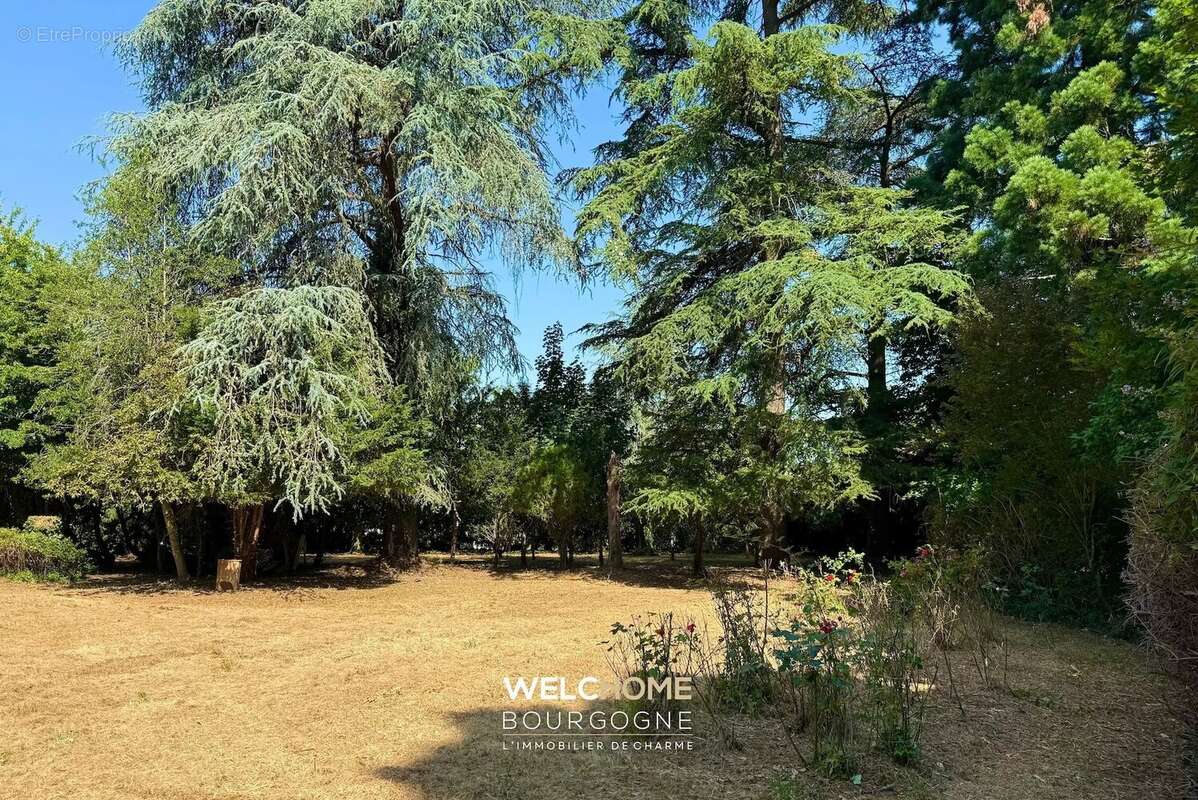 Maison à CHALON-SUR-SAONE