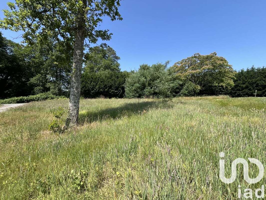 Photo 3 - Terrain à LA BREDE