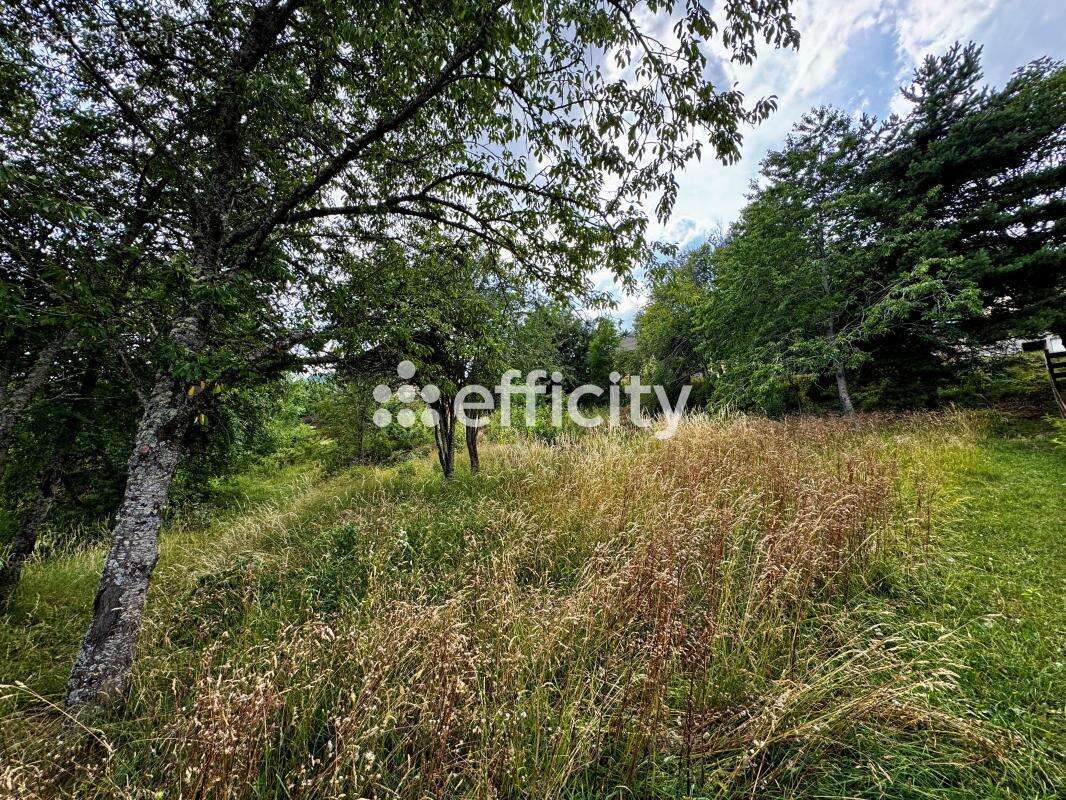Terrain 572 m² à Laye  - photo 4