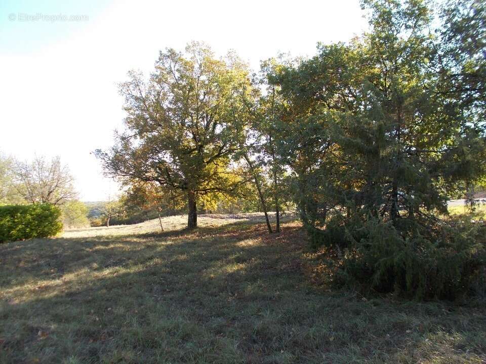 Terrain à LACHAPELLE-AUZAC