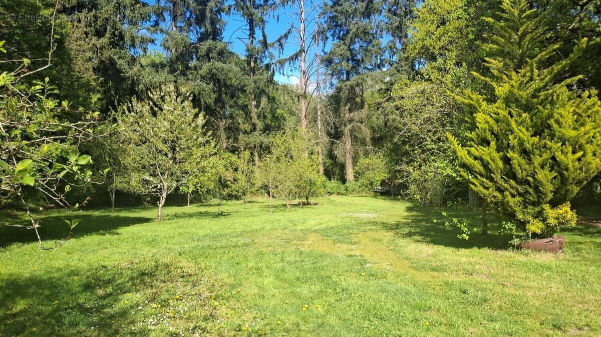 Photo 3 - Maison à FEINS