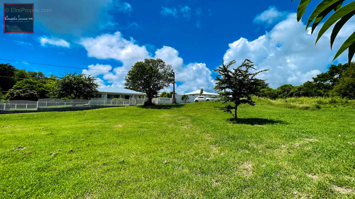 Terrain de 1 090 m2 à vendre - Sainte-Anne - photo 3