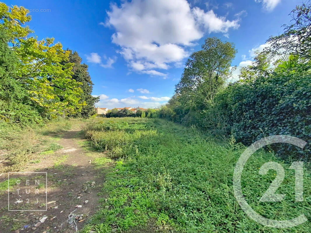 Terrain à TOULOUGES