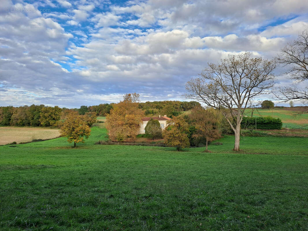 Maison à PORT-SAINTE-MARIE