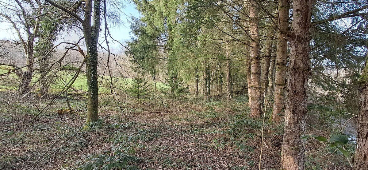 Terrain à GERNELLE