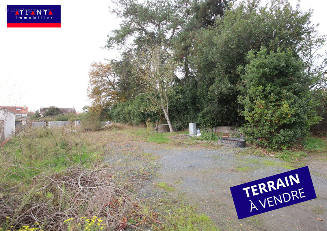Terrain à PAIMBOEUF