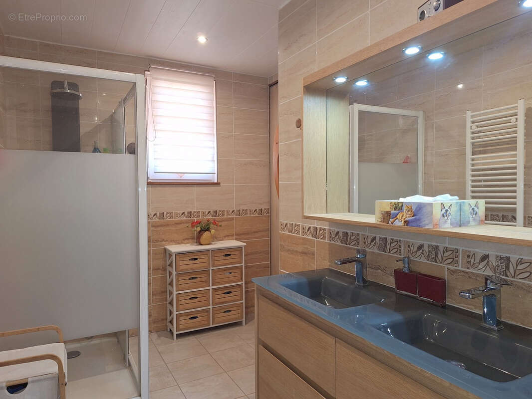 Maison à SAINT-CYPRIEN