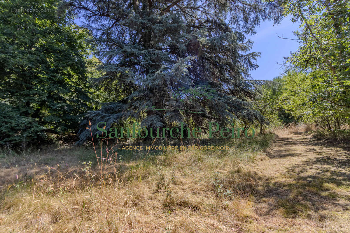 À Sarlat la Canéda - Périgord Noir - photo 24