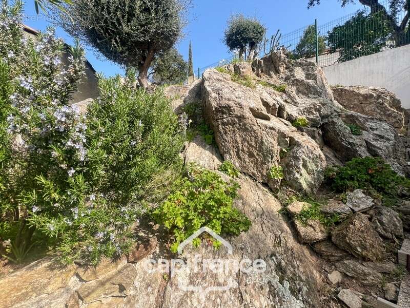 Maison à LE LAVANDOU