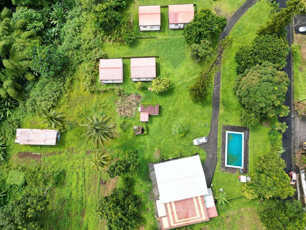 Maison à BASSE-POINTE