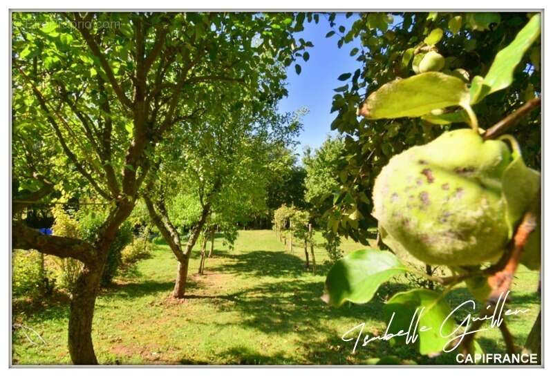 Maison à CHATEAUMEILLANT