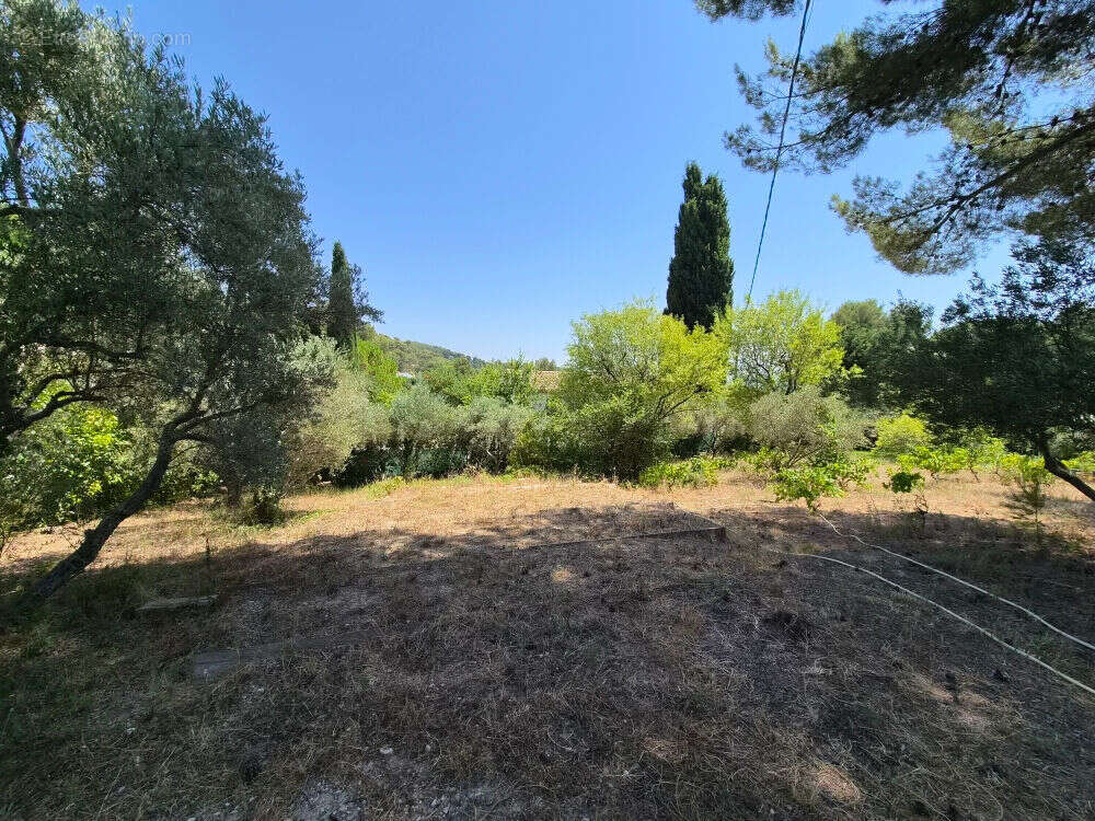 Terrain de 800 m² à bâtire avec PC purgé à ALLAUCH 13190 - photo 4