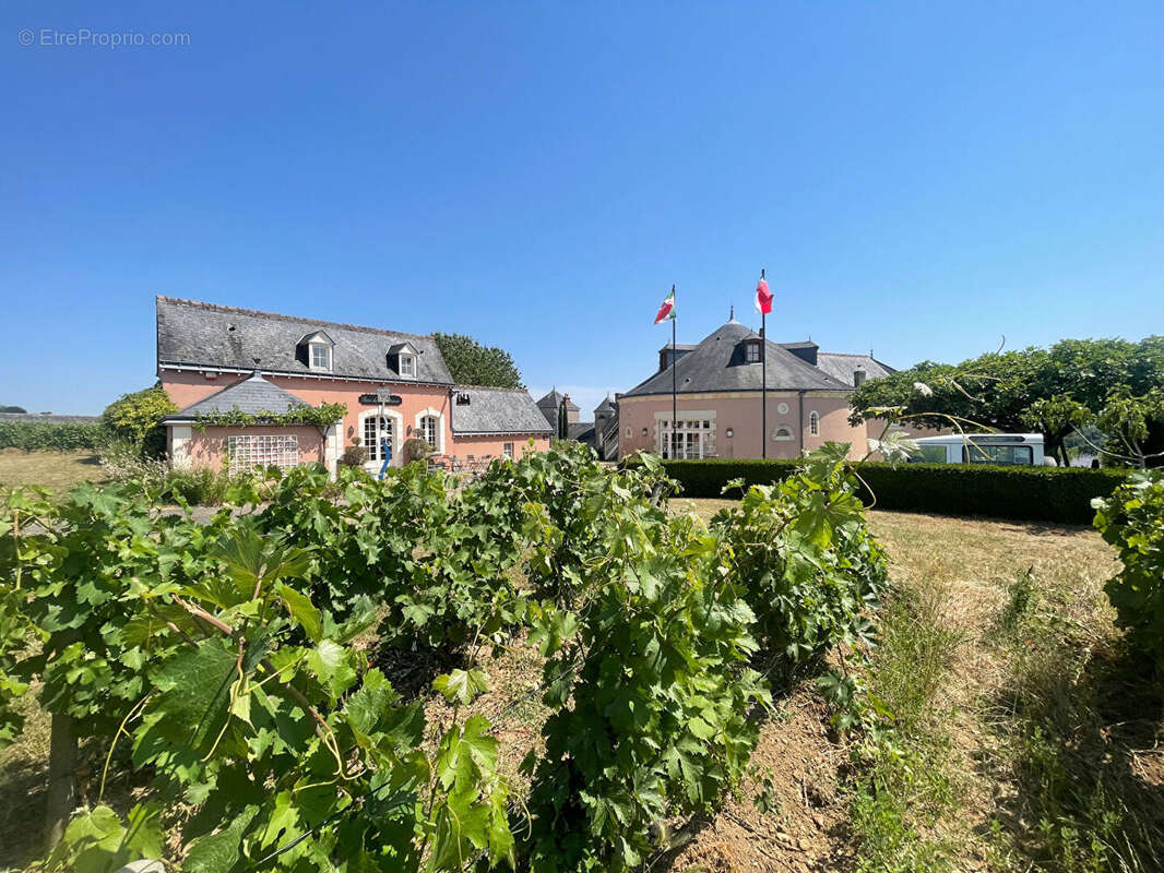 Maison à VOUVRAY