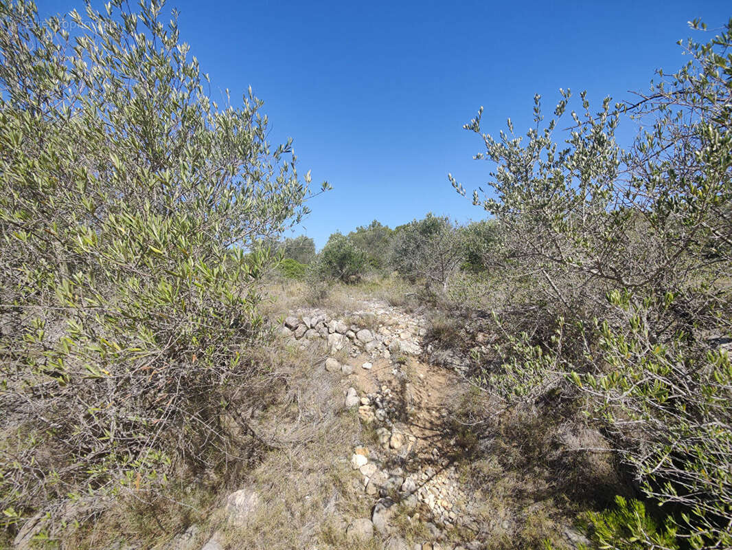 Terrain à LA PALME
