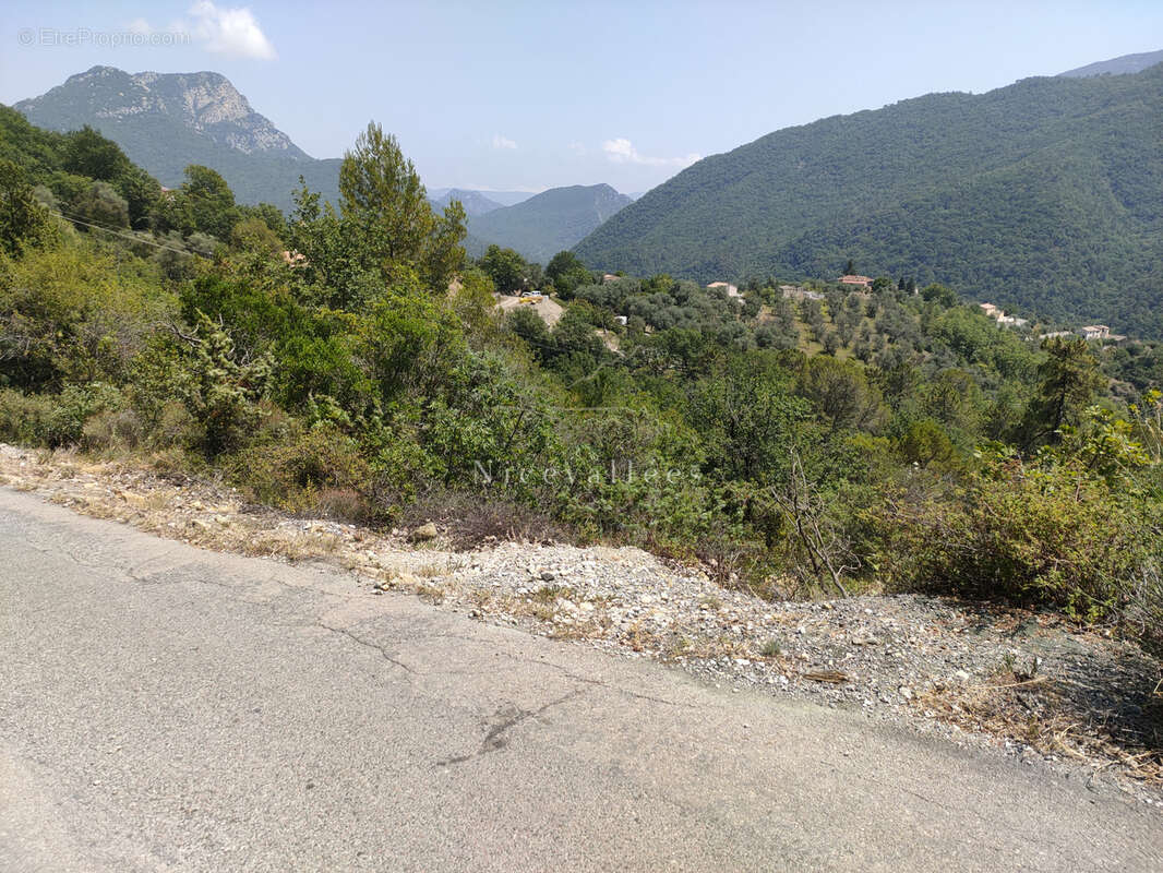 Terrain à PIERREFEU