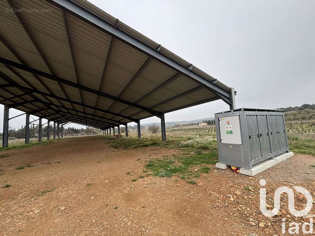 Photo 2 - Terrain à SIGEAN