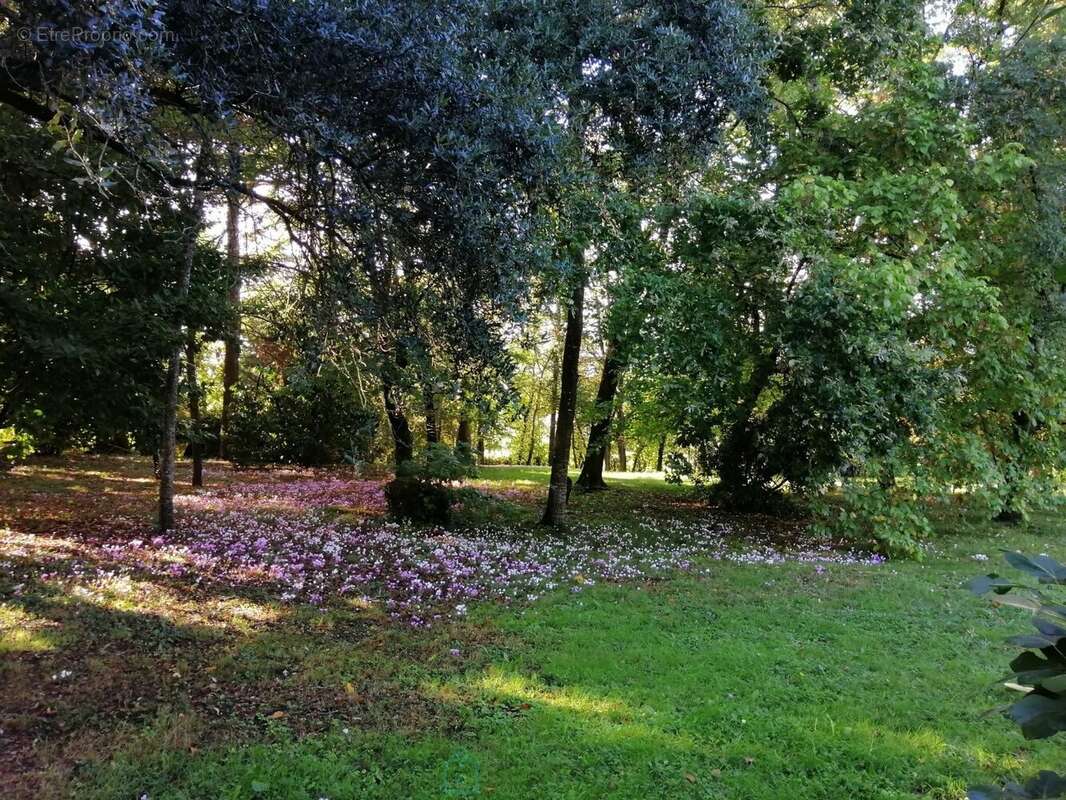 Maison à SAINT-AULAYE