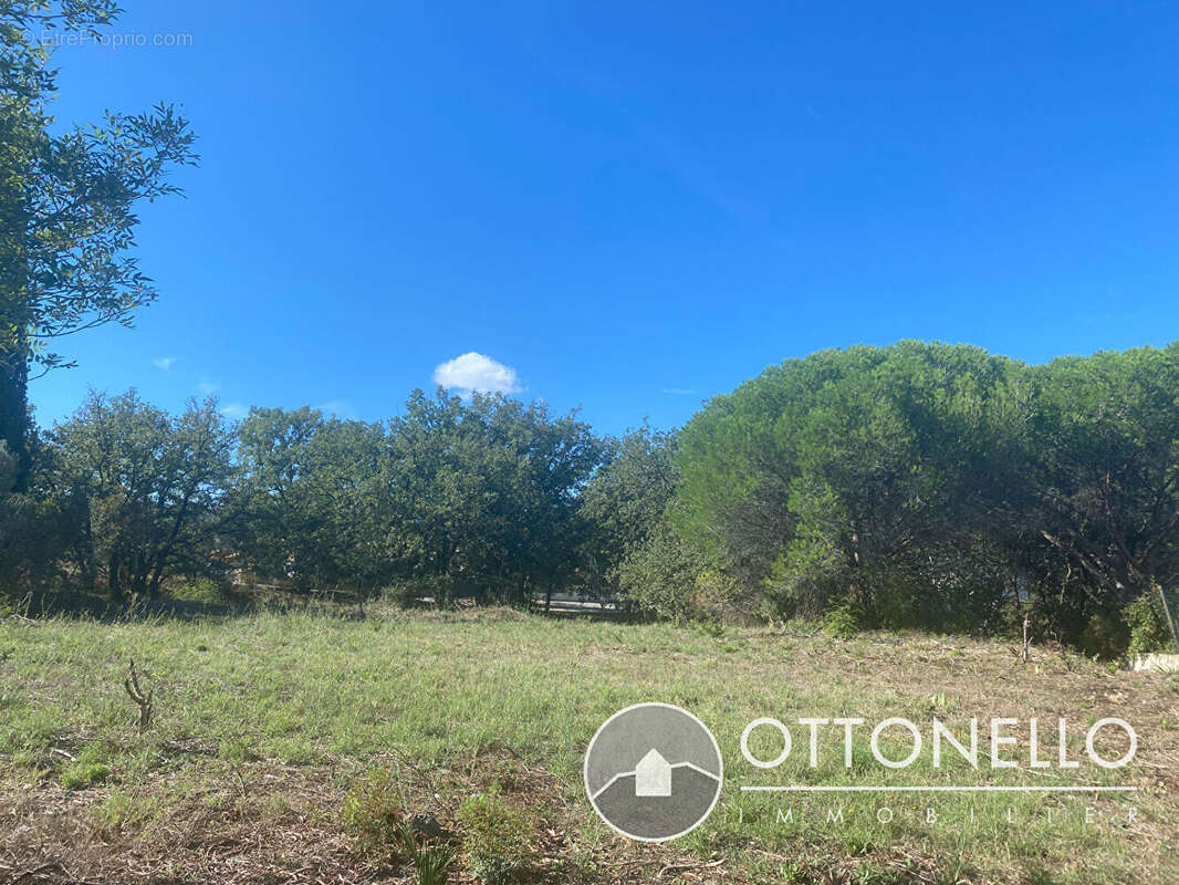 Terrain à ROQUEBRUNE-SUR-ARGENS