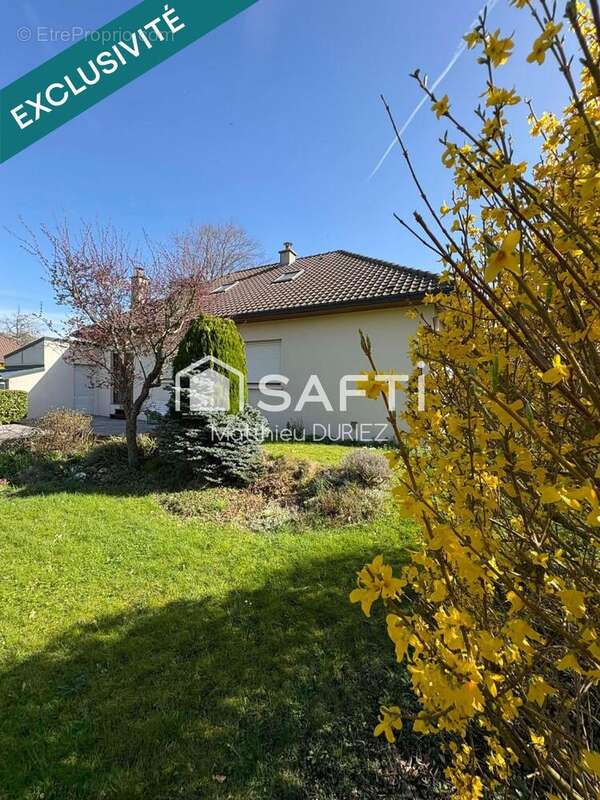 Photo 2 - Maison à TETEGHEM