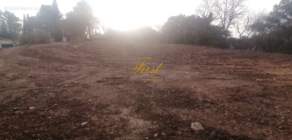 2000 m2 de TERRAIN à batir ( possibilité de faire 2 lots ) 70 % de possibilité d'emprise au sol entre CASTRIES - photo 7