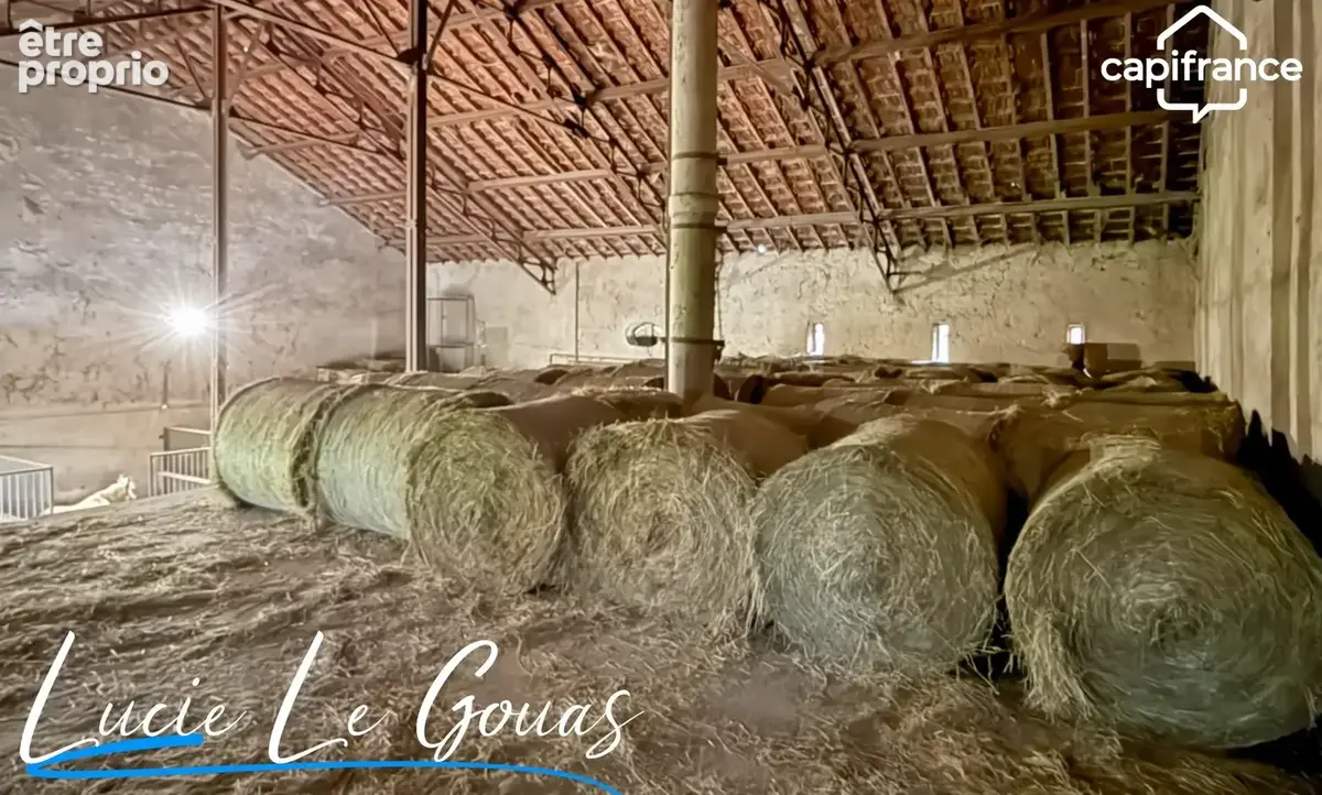 Ferme équestre - photo 31