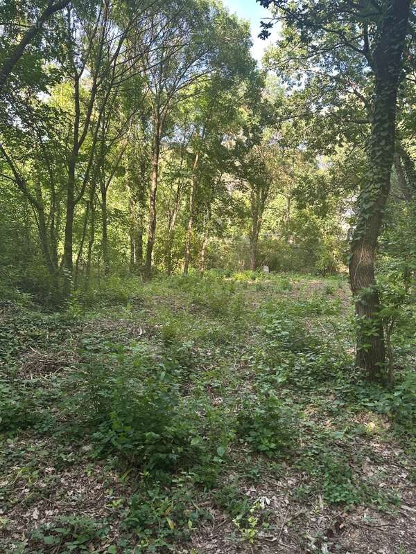 Terrain à SAINT-CANNAT