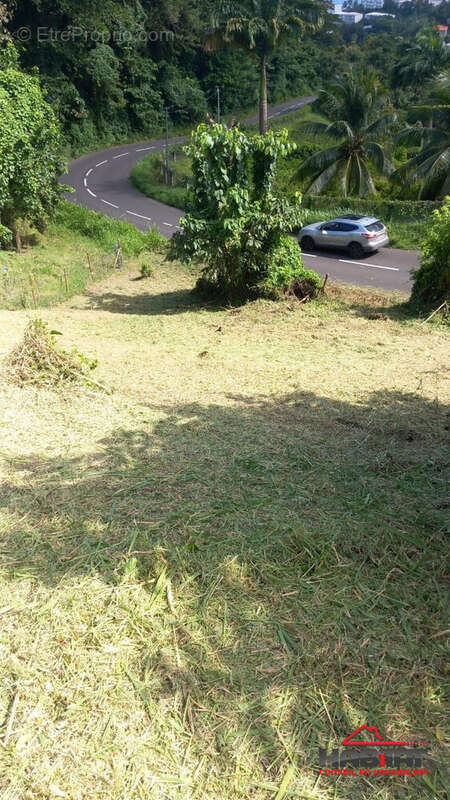 Terrain à LA TRINITE