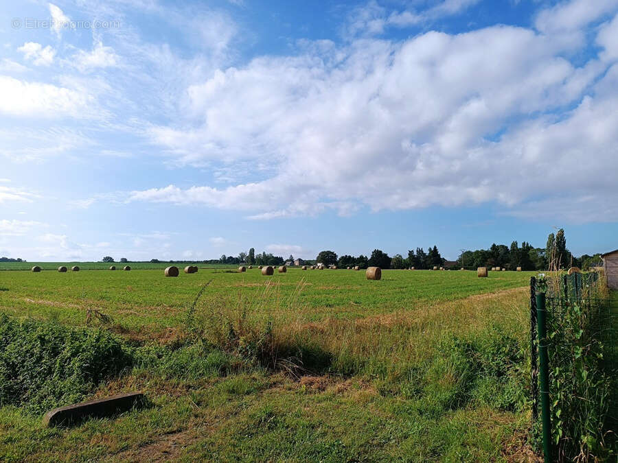 Terrain à NERONDES
