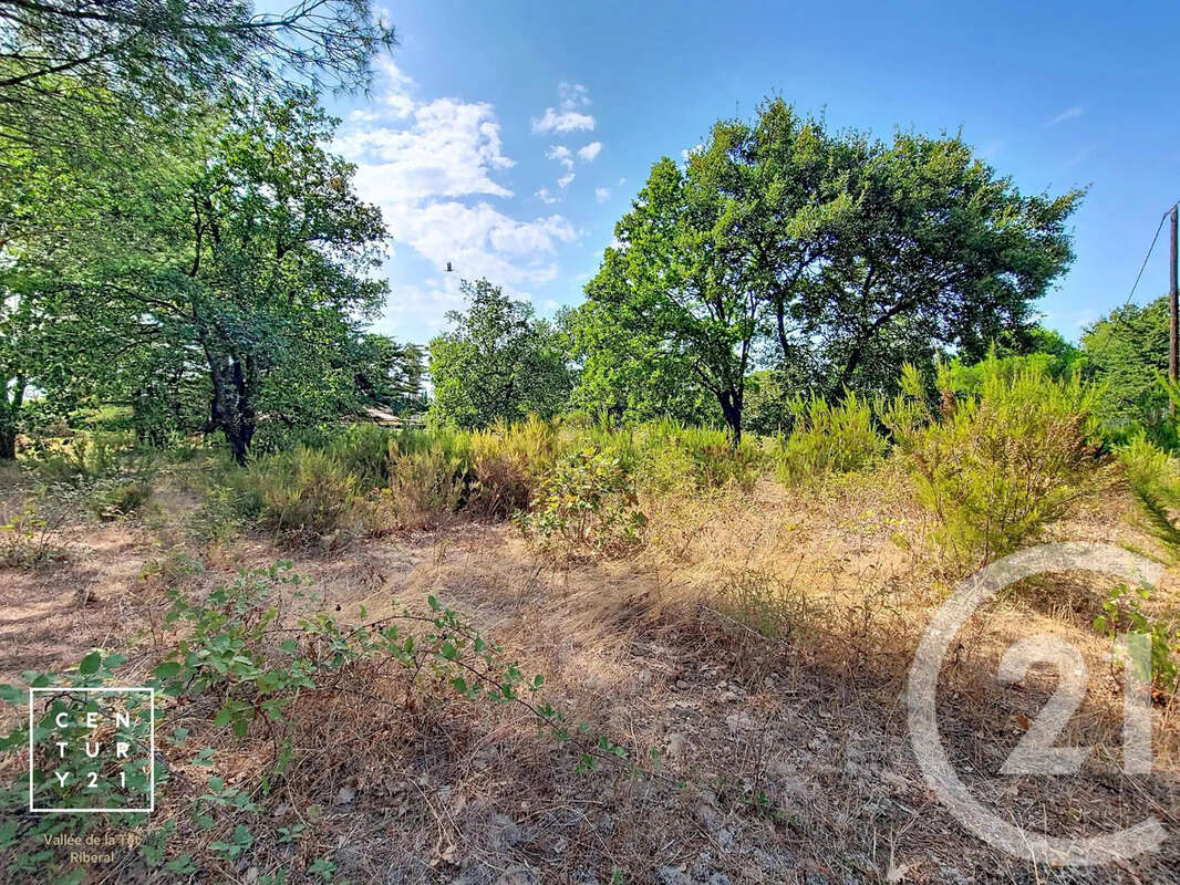Terrain 5055 m² à Toulouges  - photo 3