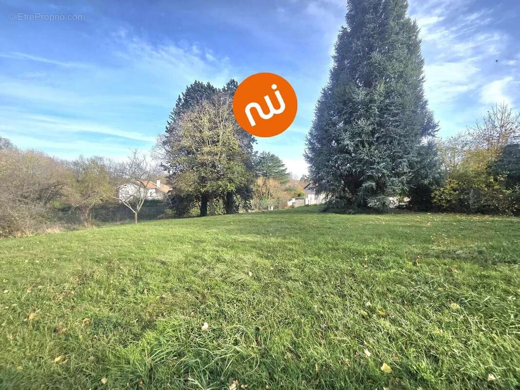 Terrain à TASSIN-LA-DEMI-LUNE