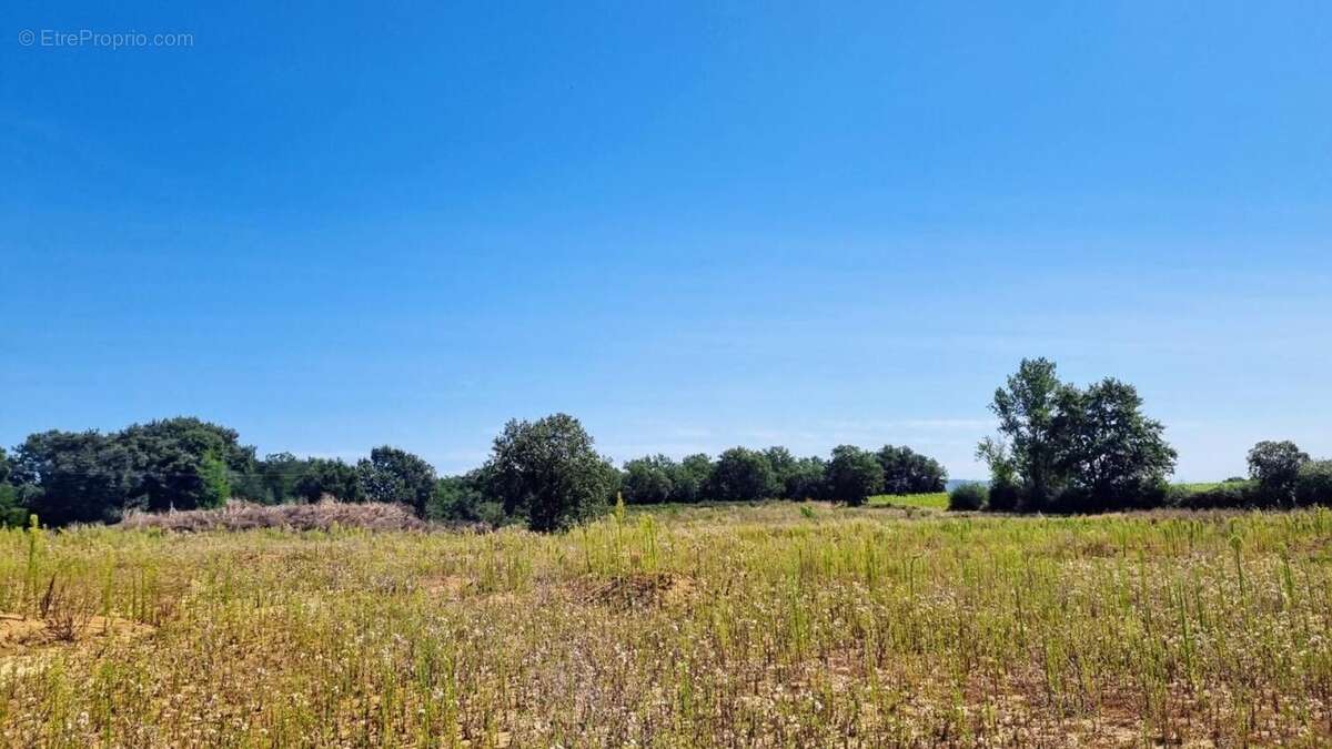 Photo 2 - Terrain à SAVENES