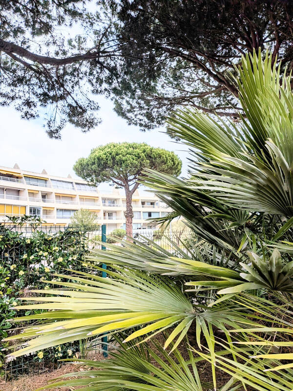 Appartement à LE GRAU-DU-ROI