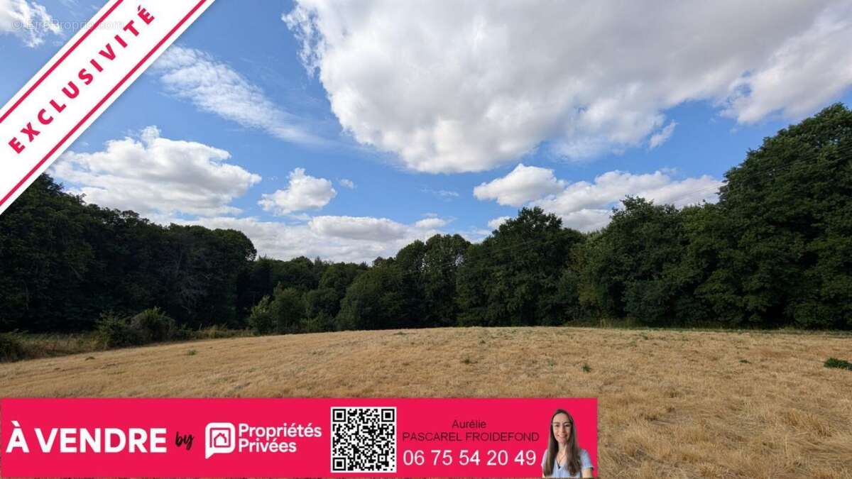 EXCLUSIVITE - Terrain à bâtir d'environ 8900m² - Secteur Hippodrome Pompadour (19230) - photo 6