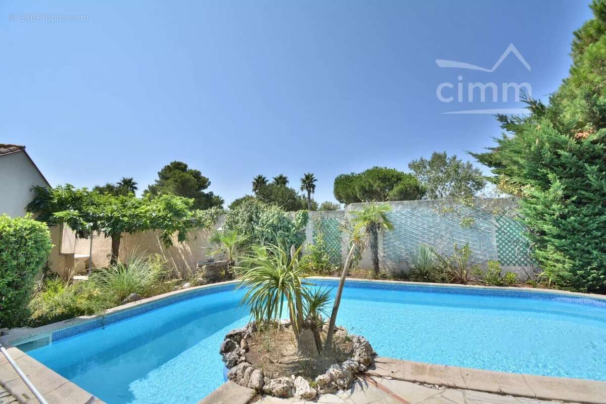 Vente - saint cyprien plage - belle villa 4 faces  - piscine - 6 pieces - 66750 - pyrenees orientales - region occitanie - photo 3