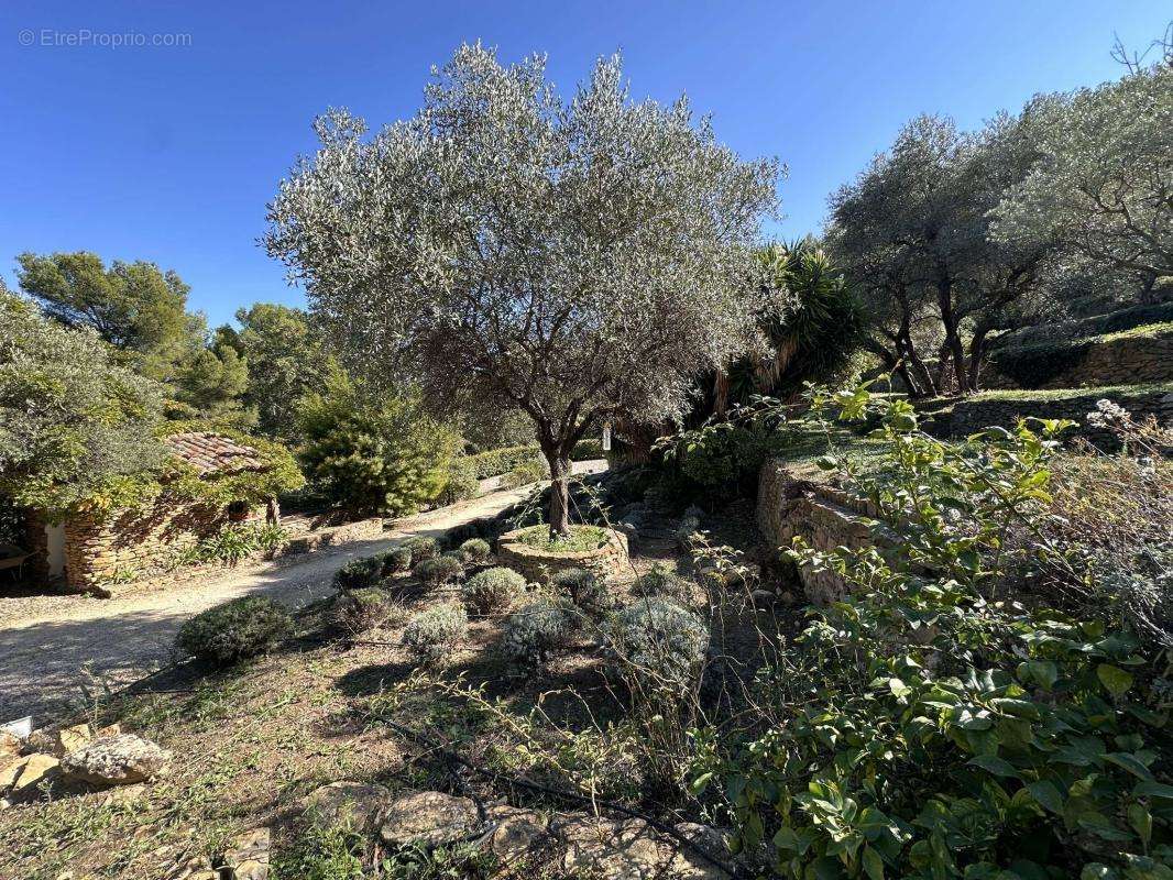 Maison à LE BEAUSSET