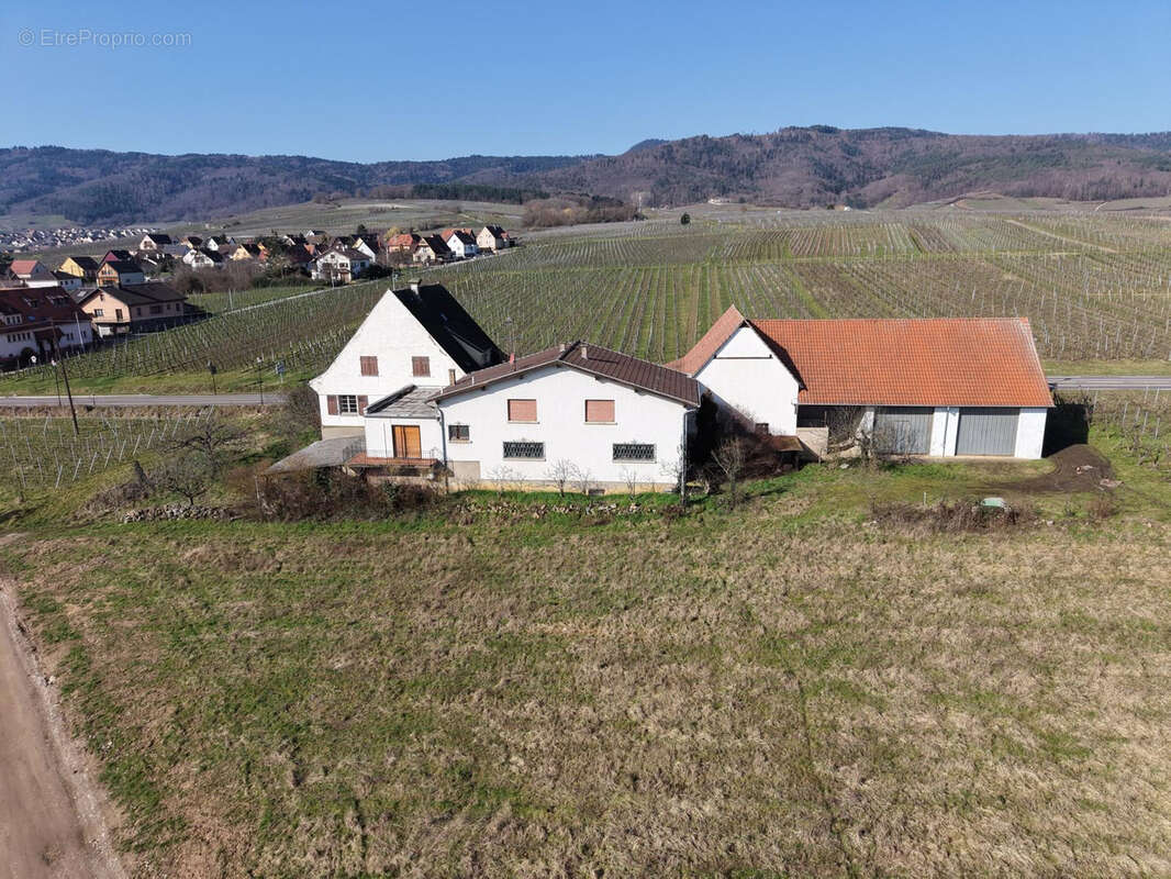 Maison à ZELLENBERG