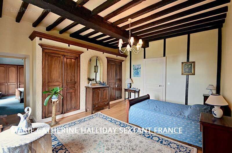 Niche en hauteur magnifique chateau sur 7700 m2 avec sa source - photo 19