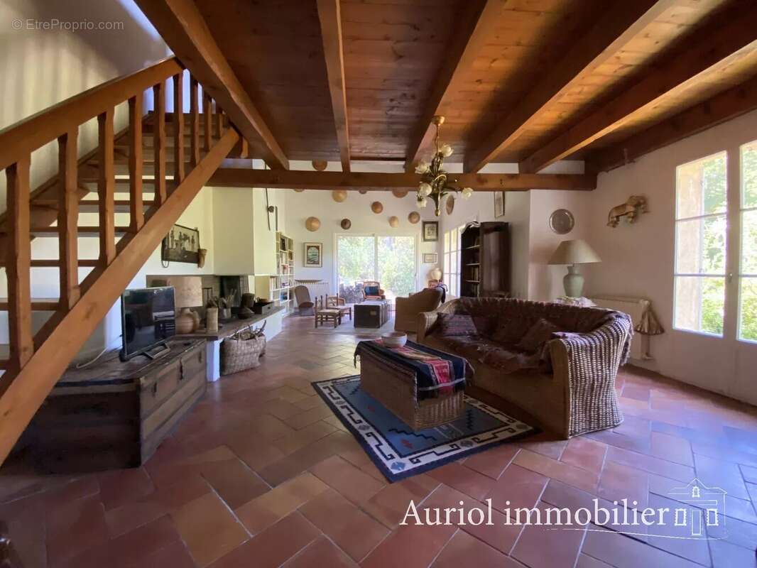 AURIOL - Villa 312 m² sur 9 690 m² de terrain - 3 logements - photo 9