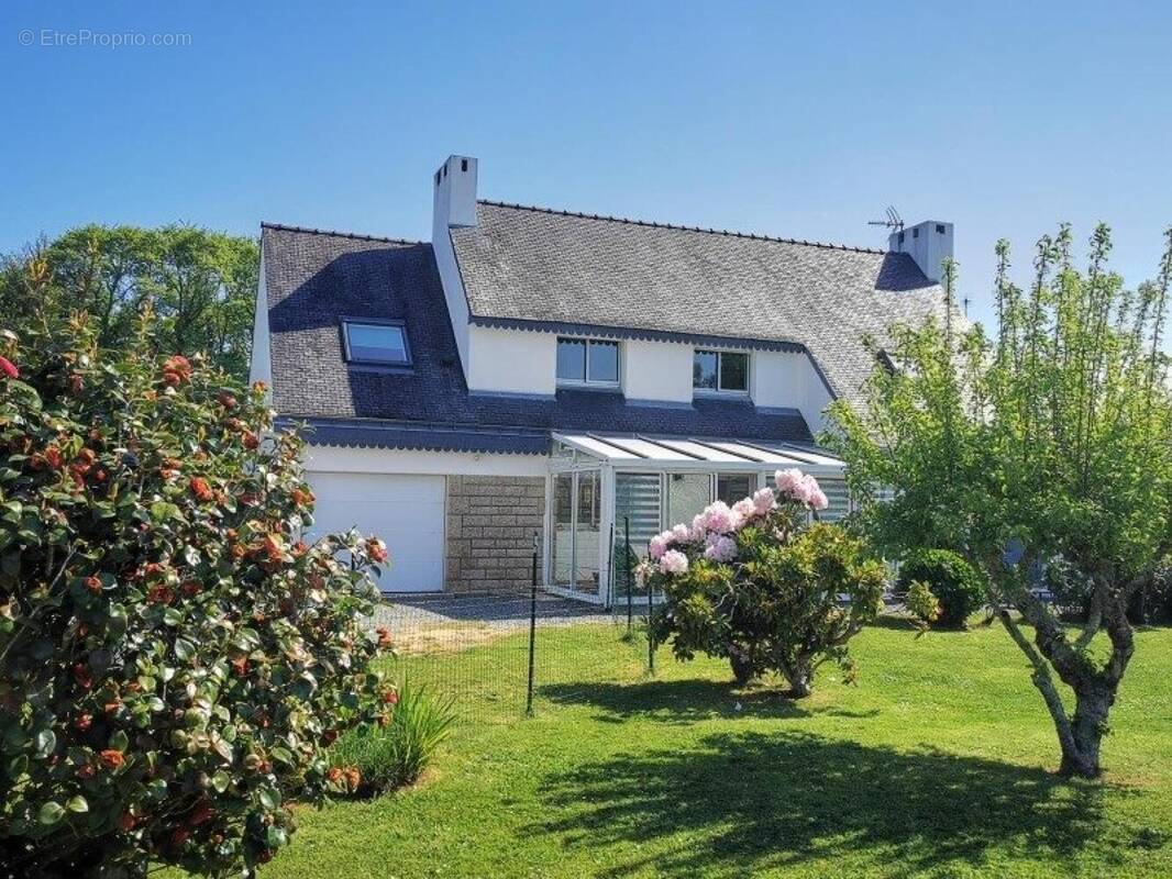 Photo 1 - Maison à MOELAN-SUR-MER