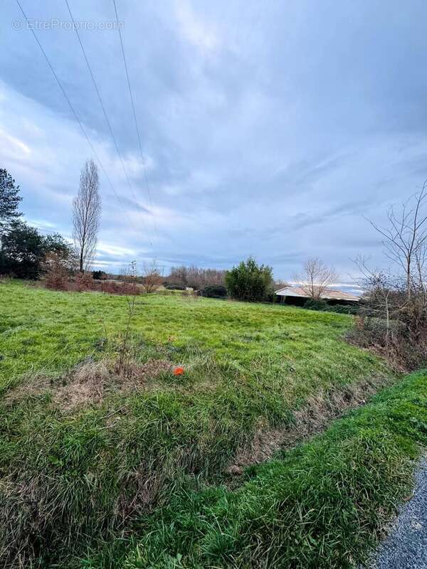 Terrain 1505 m² à Saint-Sylvestre-Sur-Lot  - photo 2