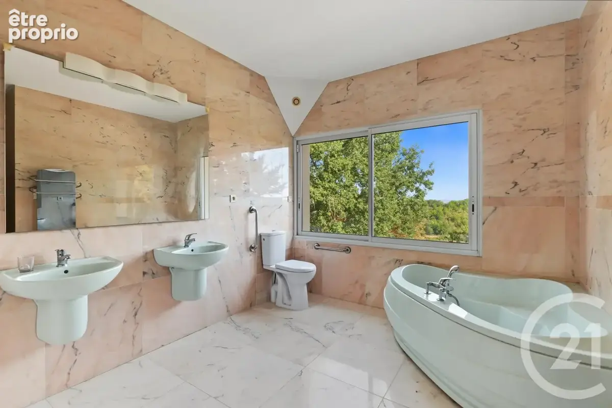 Maison 8 pièces 383 m² à vendre à L'isle-En-Dodon (31230) - photo 25