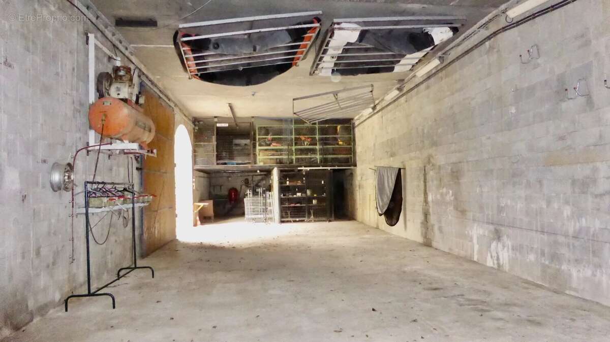 Commerce à MOSTUEJOULS