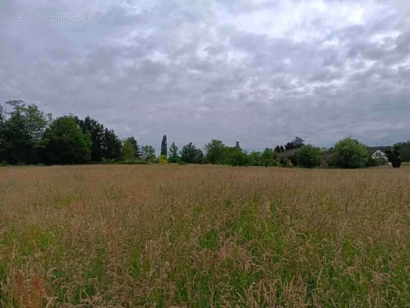Terrain à VINCELLES