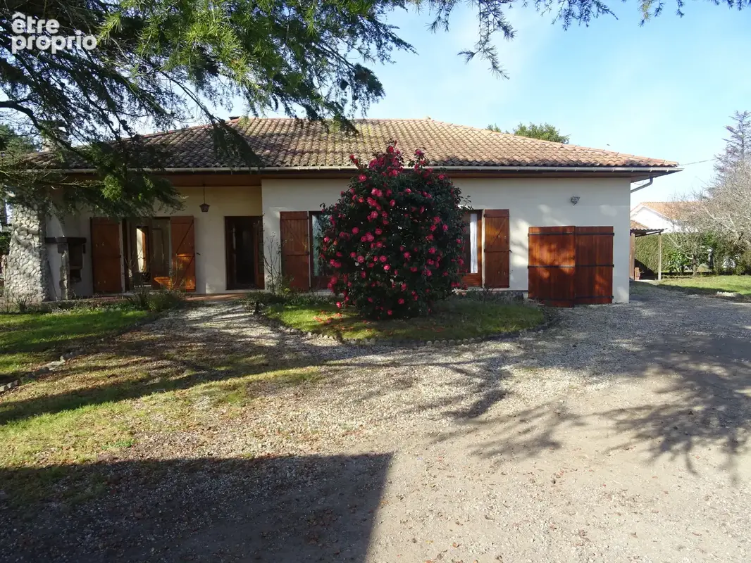 Gujan mestras - photo 7