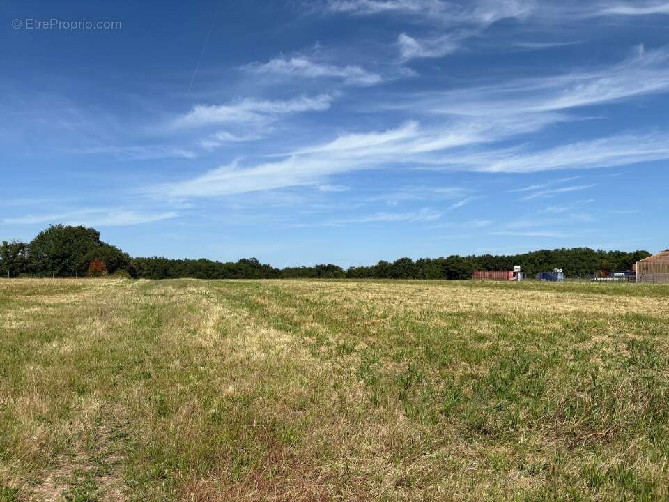Terrain 700 m² à Vacquiers  - photo 3