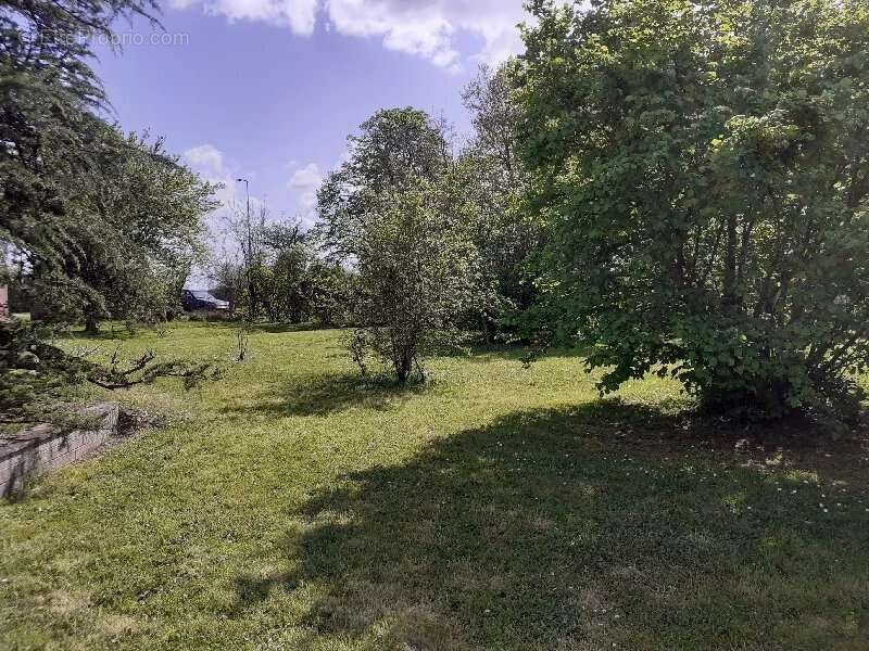 Propriété à rénover sans voisins proches et 5000m² de terrain - photo 15