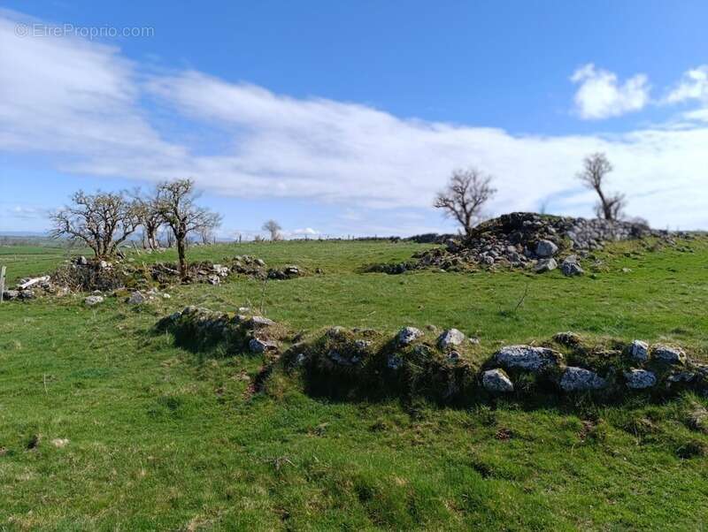 Maison à SAINT-VINCENT-DE-SALERS