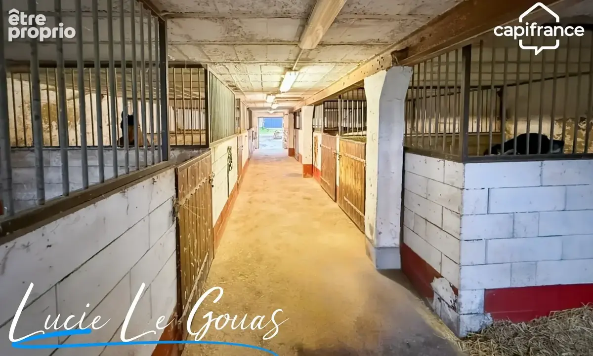 Ferme équestre - photo 4