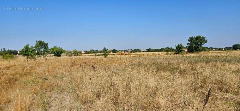 Terrain 609 m² à Lamasquere  - photo 2